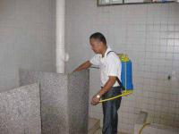 消杀案例